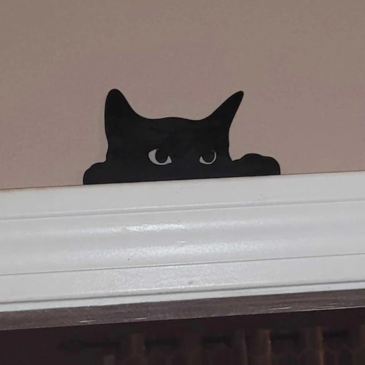1 Pc Cat Looking Up Door Toppe - đánh giá và giá Tablet Accessories Aesthetic